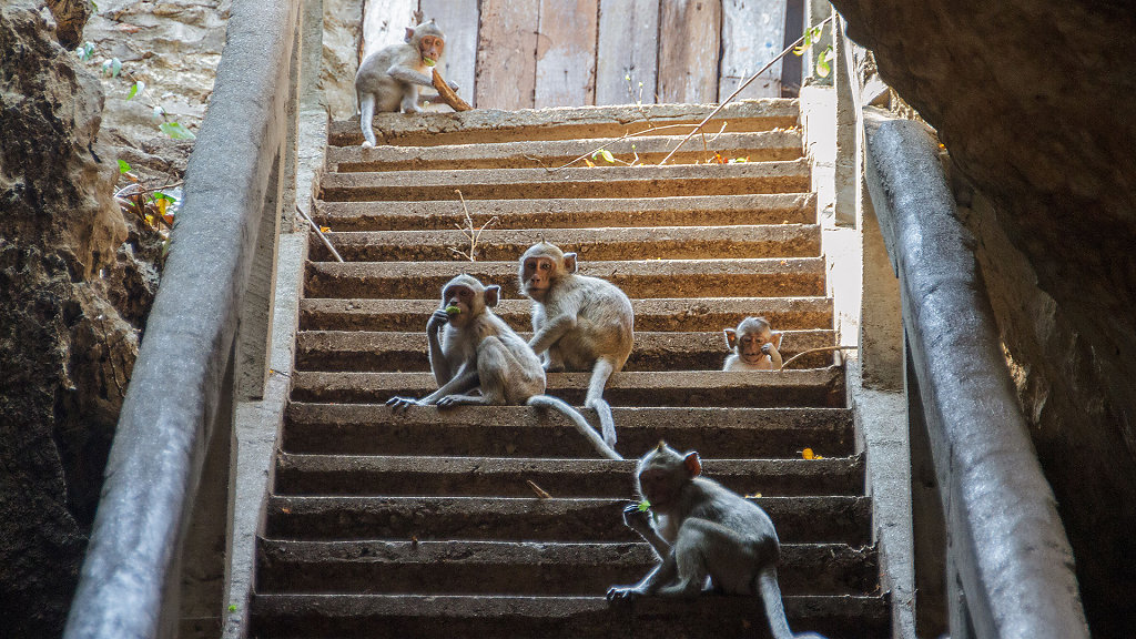 Tham Khao Luang // ถ้ำเขาหลวง
