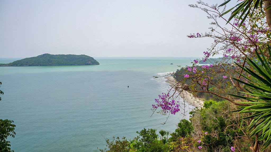 20230316-113502-THAI5116-HDR.jpg