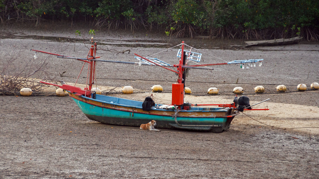 20230316-183820-THAI5331.jpg