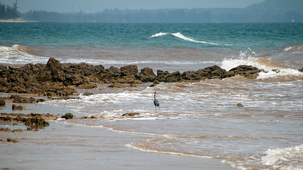 Red Cliffs // ผาฝั่งแดง
