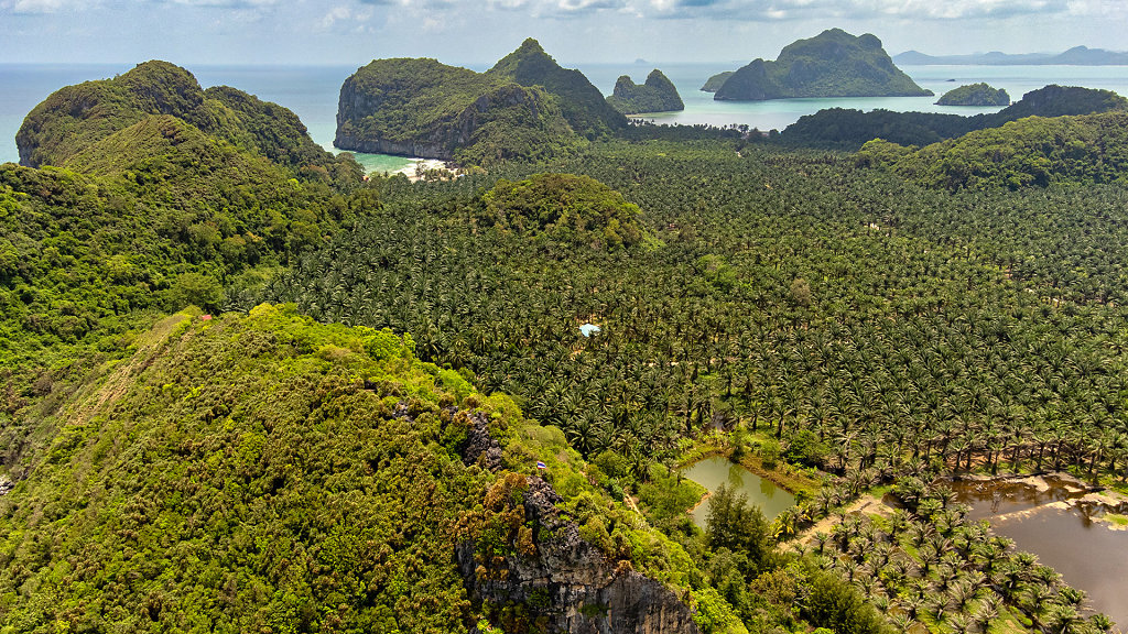 20230317-132204-DJI-0399-HDR.jpg
