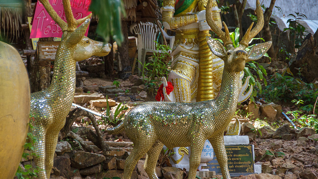 20230317-142231-THAI5421.jpg