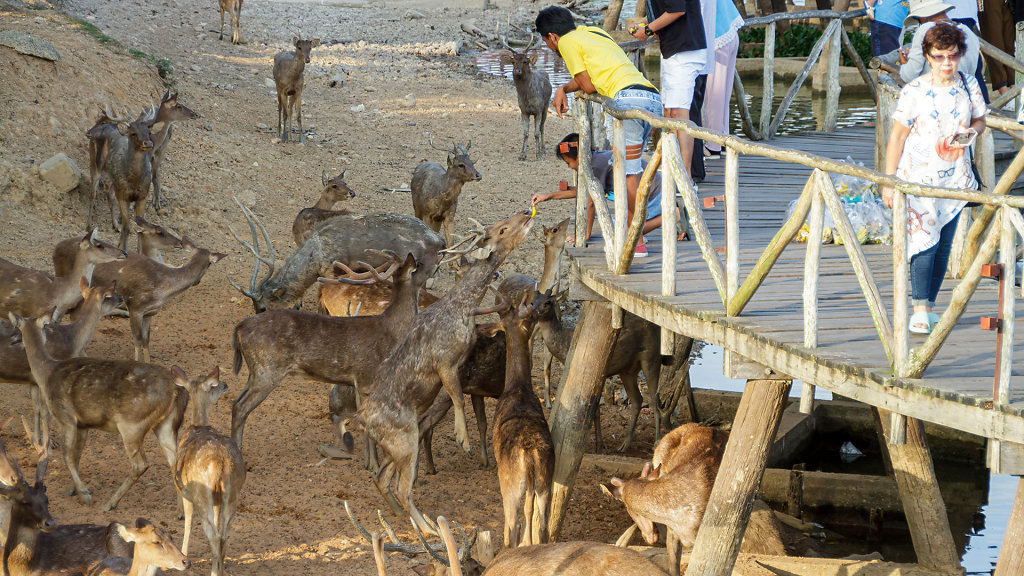 20230317-173408-THAI5515.jpg