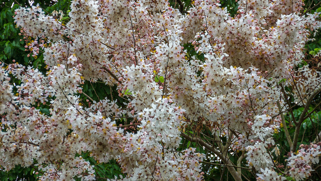 20230319-093353-THAI5530.jpg