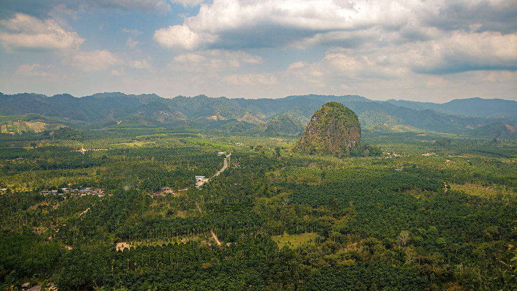 20230319-114001-THAI5551-HDR.jpg
