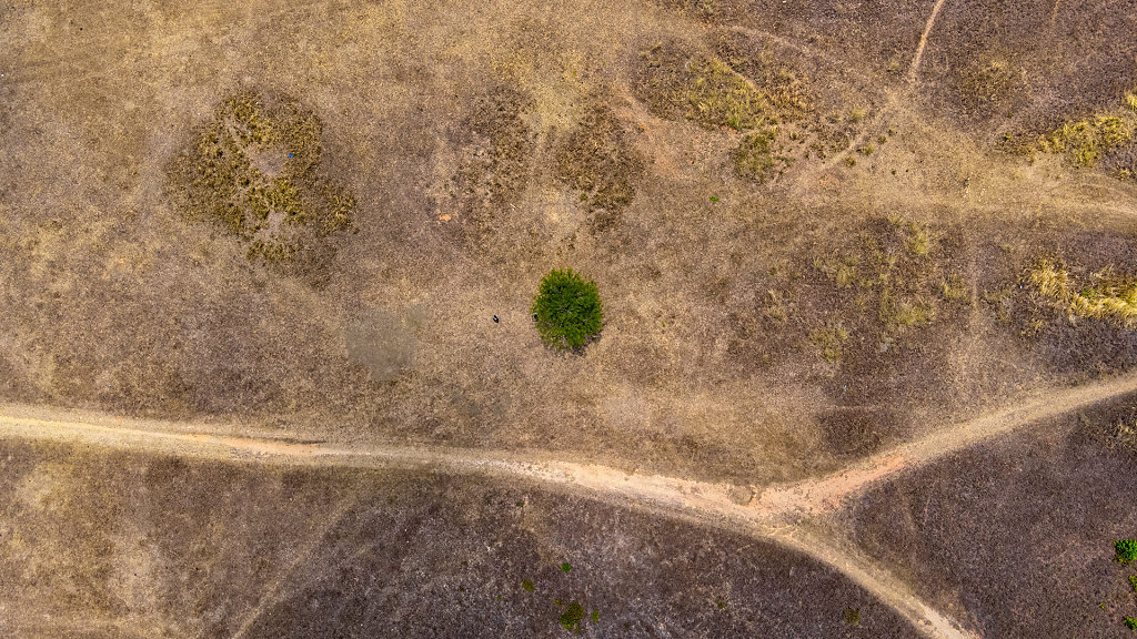 Phu Khao Ya ภูเขาหญ้า//