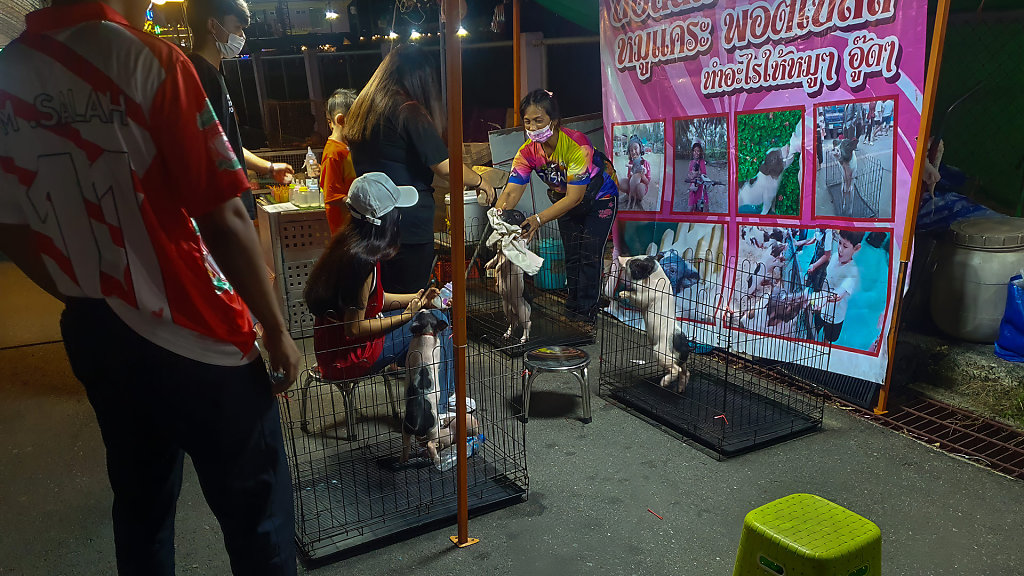 Ranong Municipality Evening Market