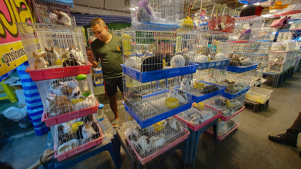 Ranong Municipality Evening Market