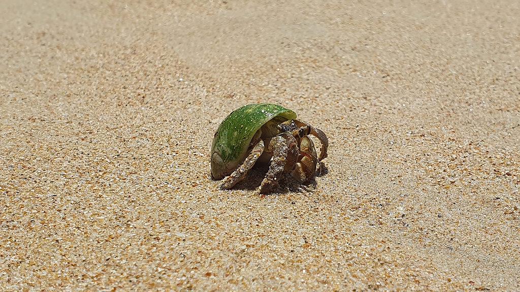 Khao Lak Beach