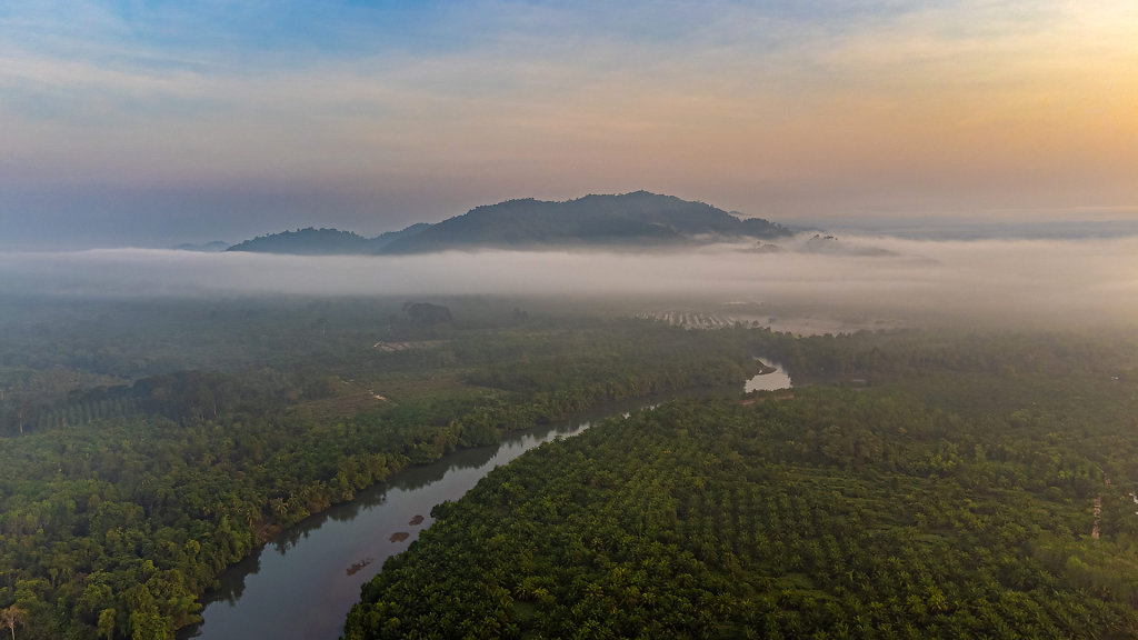 20230327-064638-DJI-0011-HDR.jpg