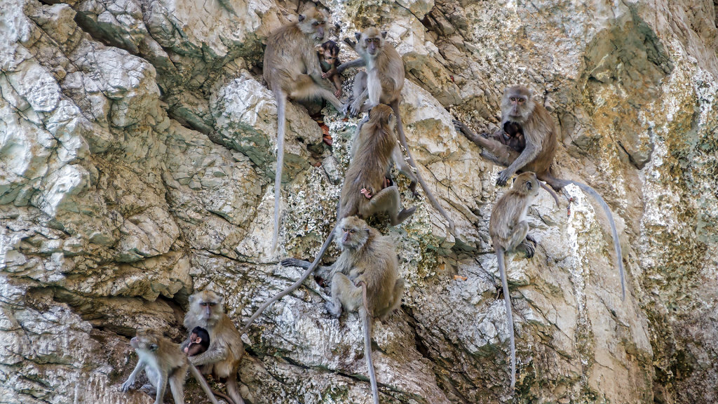 Khao Sok National Park
