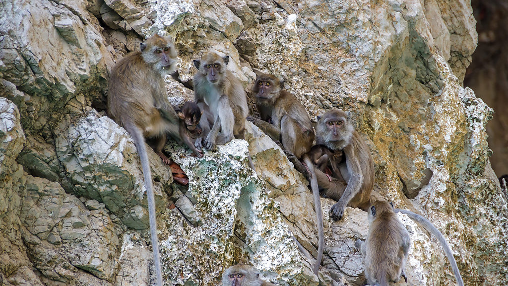 Khao Sok National Park