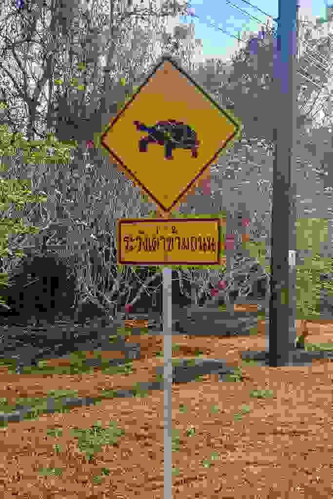 20230328-075542-20230328-075541.jpg