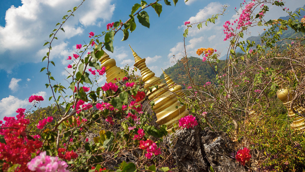 Thamma Park (Ban Khao Na Nai)