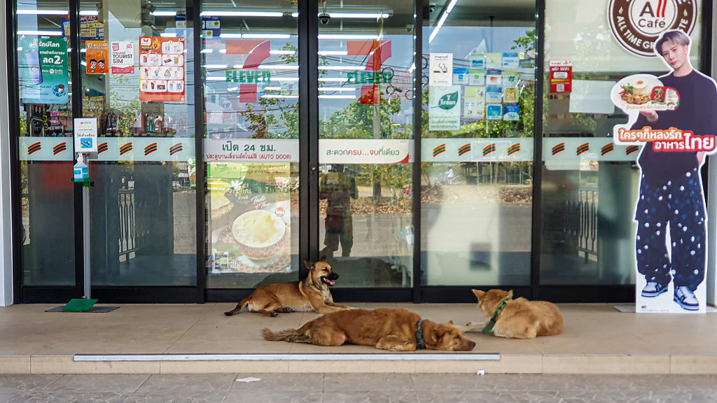 7-Eleven สาขา เขื่อนรัชชประภา (เชียวหลาน) (16520)