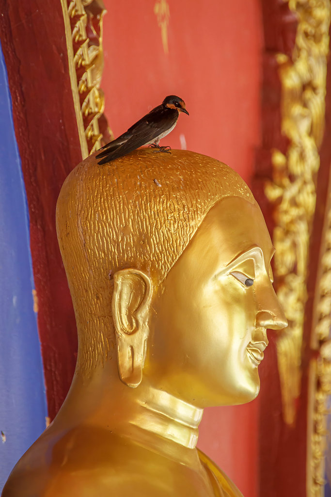 Wat Maha That Wachiramongkol // วัดมหาธาตุวชิรมงคล (วัดบางโทง) กระบี่ 