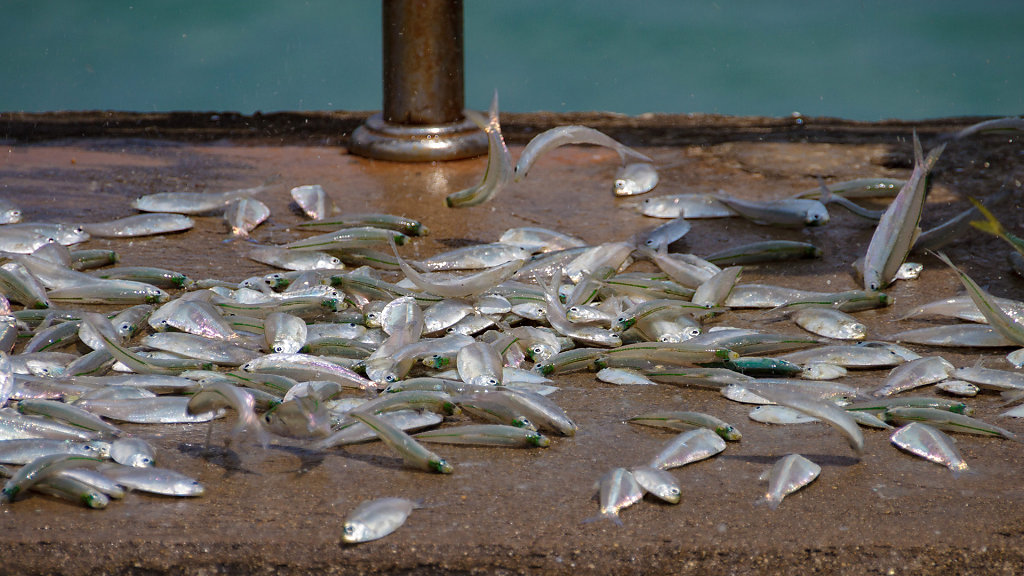 Koh Lanta Old Town Pier