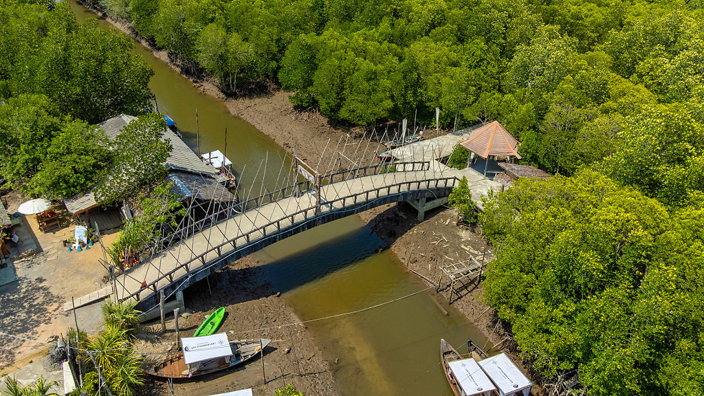 Thung Yee Pheng Mangrove Forest