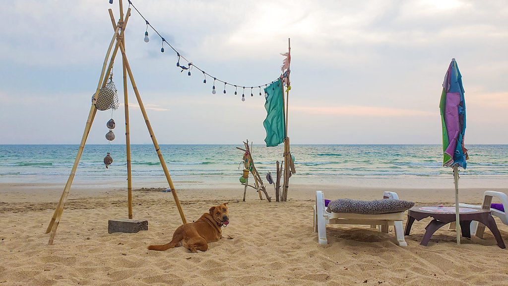 Rasta Chill Bar