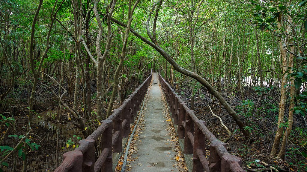 Krabi Urban Forest