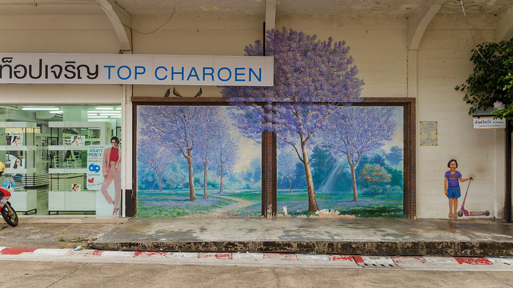 Trang Street Art