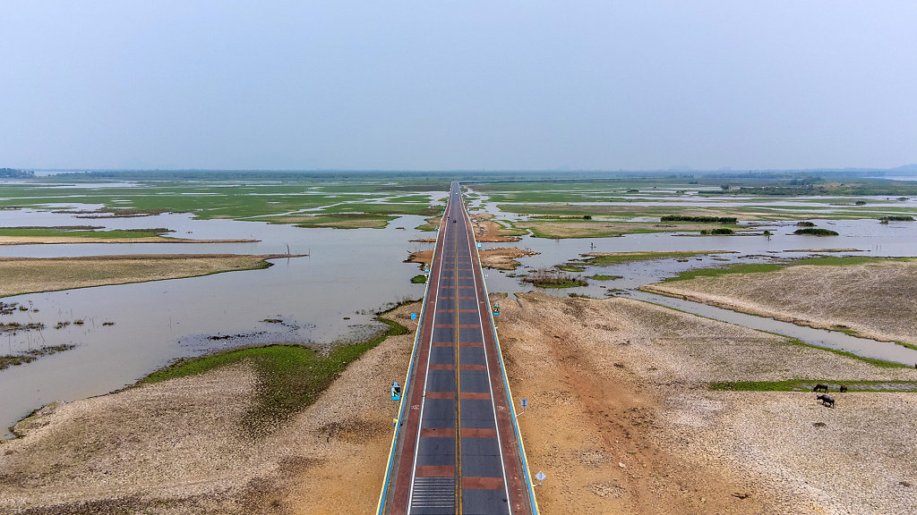 Chaloem Phrakiat's 80th Birthday Bridge