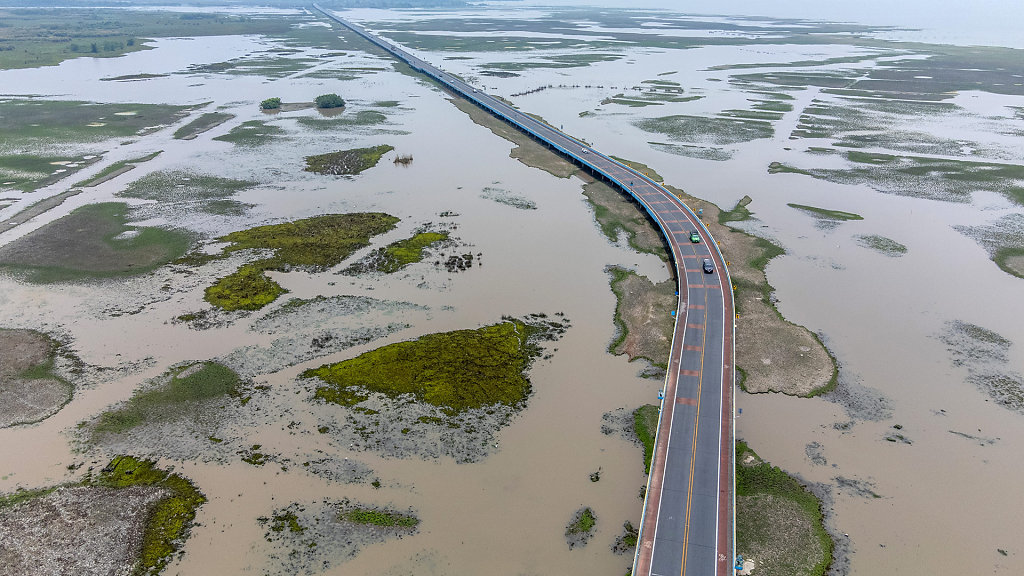 Chaloem Phrakiat's 80th Birthday Bridge