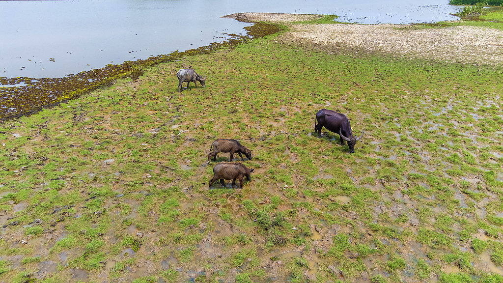 20230417-111856-DJI-0844-HDR.jpg