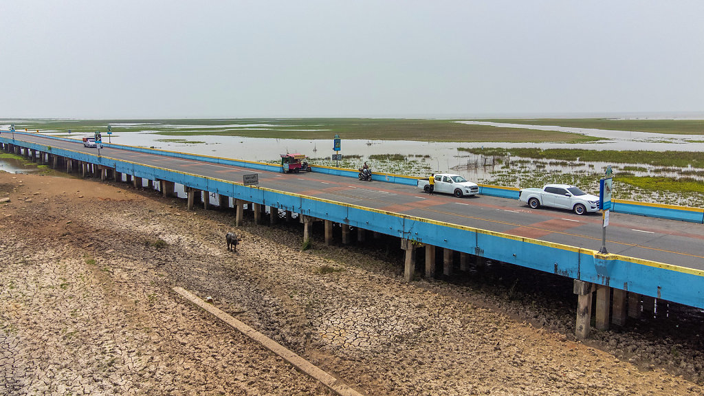 Chaloem Phrakiat's 80th Birthday Bridge