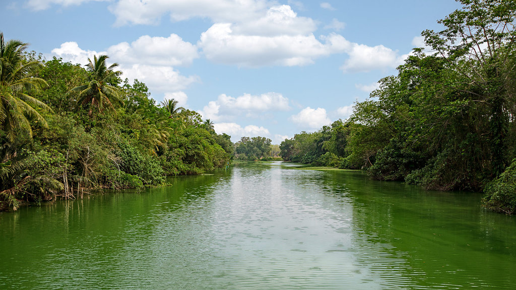 20230417-145735-THAI8486-HDR.jpg