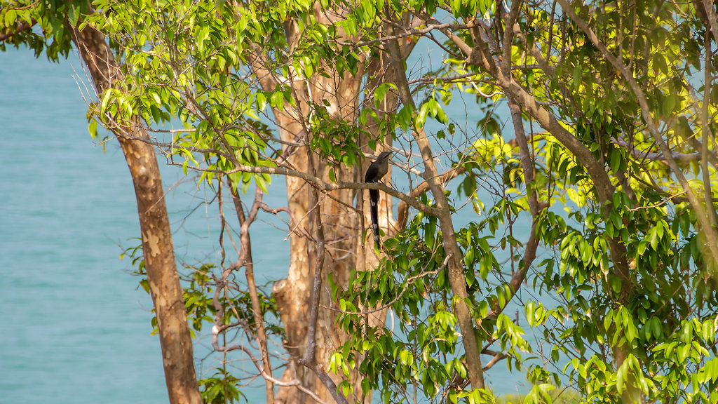 Sichon-Khanom Road Viewpoint