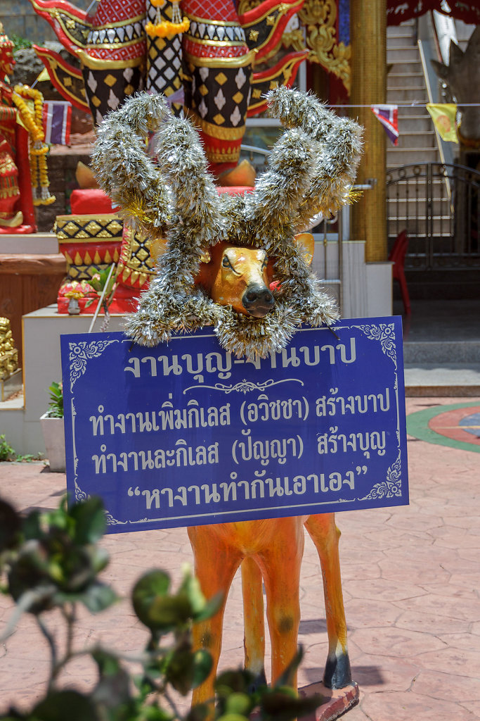 20230423-120659-THAI8968.jpg