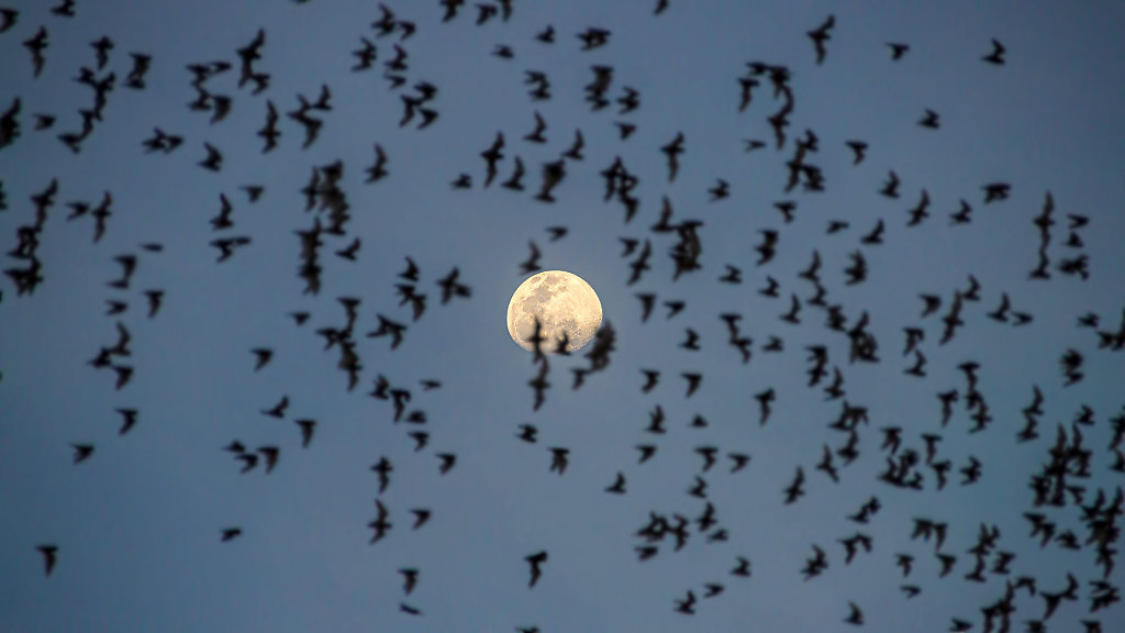 02.05.2023: Phetchaburi & Ratchaburi Provinces