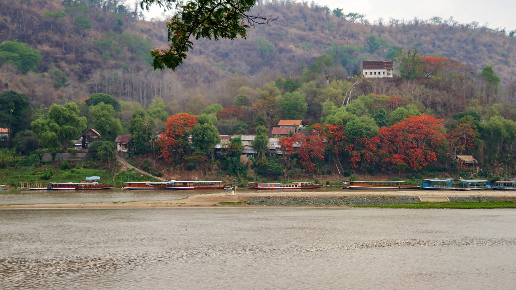 20230510-104447-THAI0364.jpg