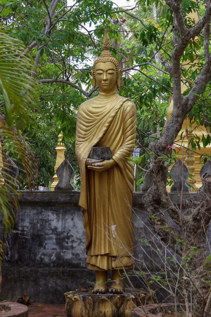 20230510-105208-THAI0366.jpg