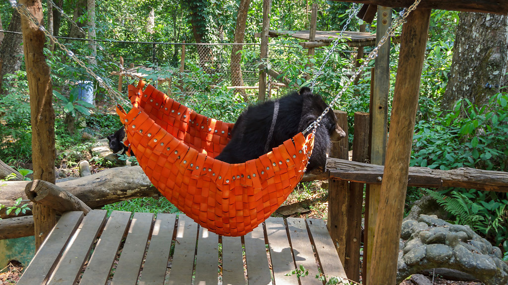 Tat Kuang Si Bear Rescue Centre, Free the Bears