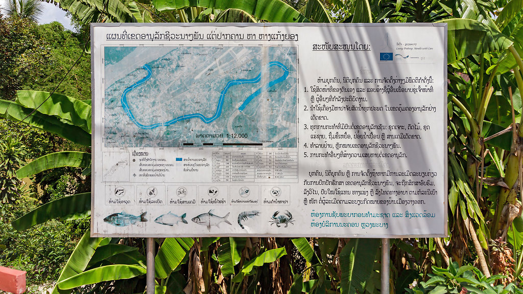 20230512-133921-THAI0724.jpg