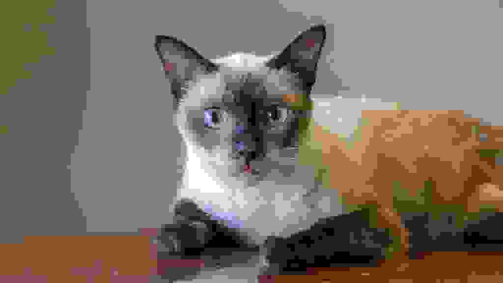 20230517-172044-THAI1070.jpg