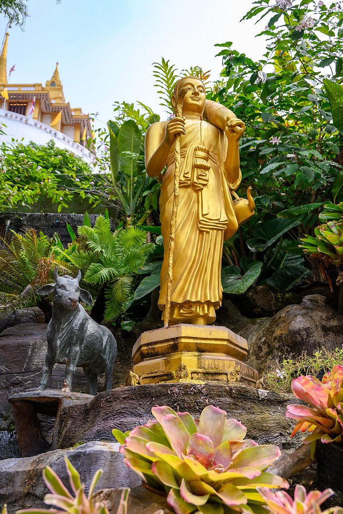 Wat Saket, Golden Mount // วัดสระเกศราชวรมหาวิหาร (ภูเขาทอง)