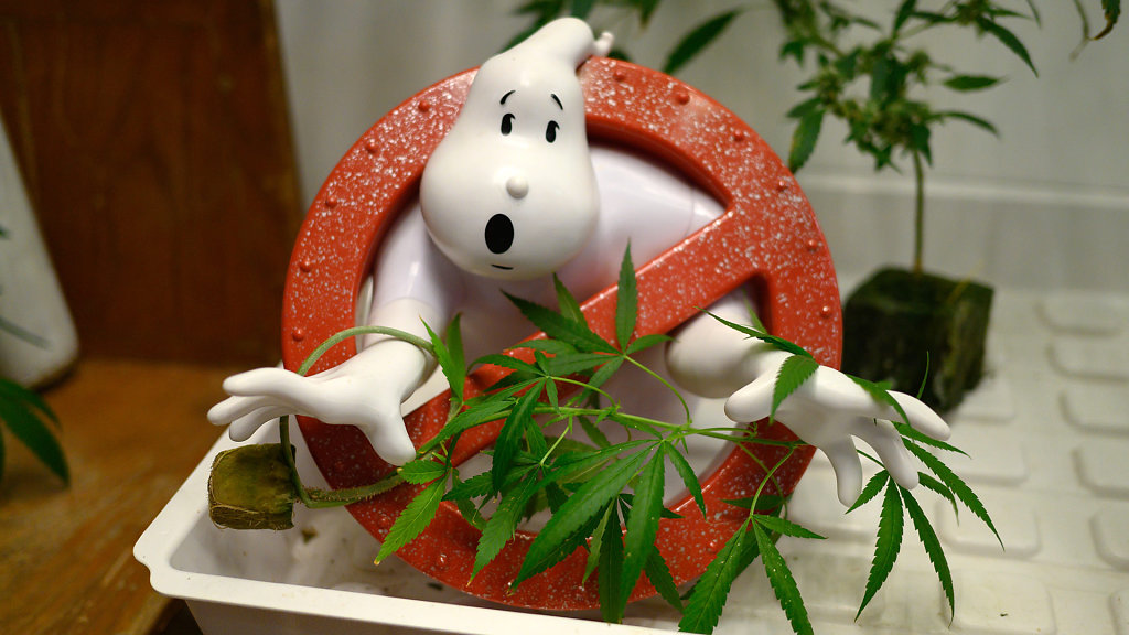 Plantopia - Weed City