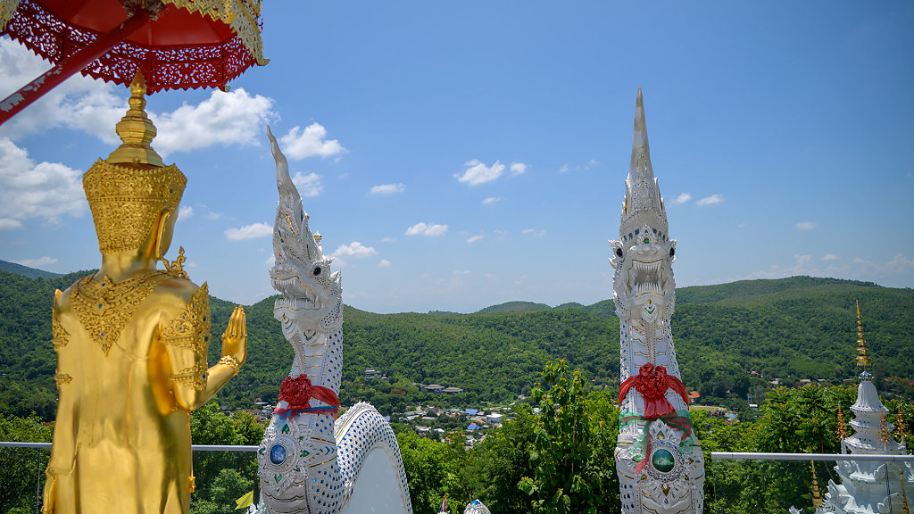 20230601-112015-DSC-1584.jpg