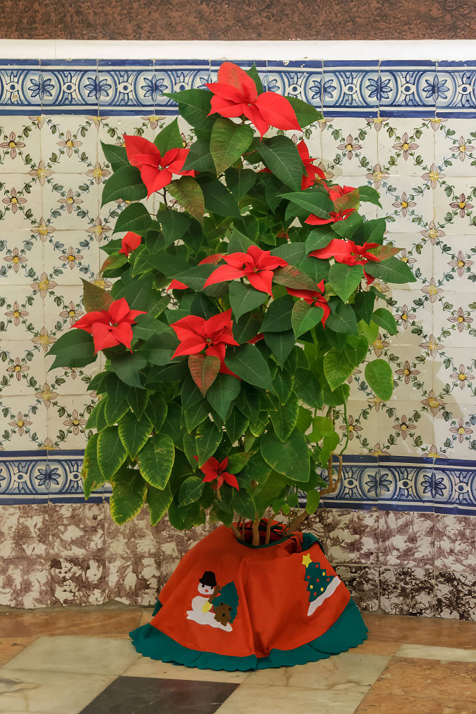20231216-094528-FARO0023.jpg