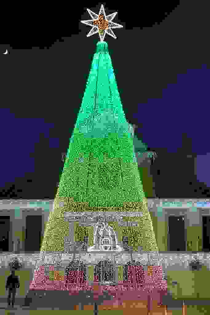 20231216-175142-20231216-175142.jpg