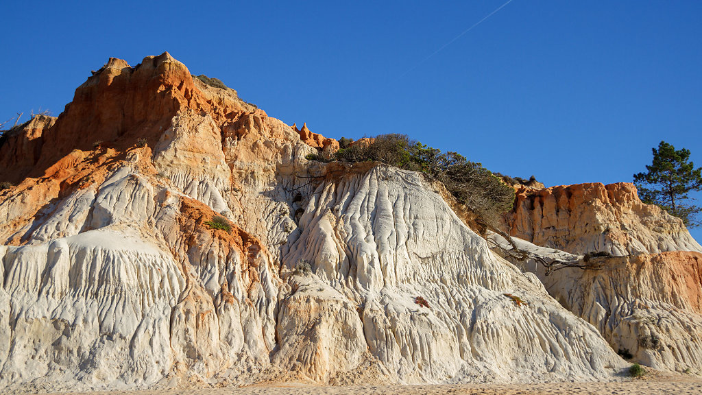 20231217-095531-FARO0175.jpg