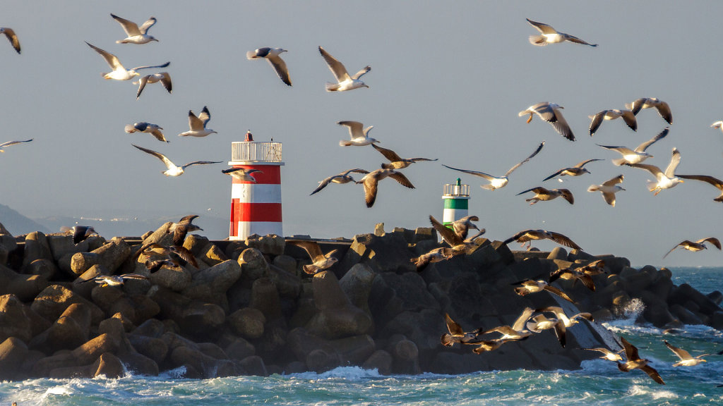 16.12.2023: Portugal