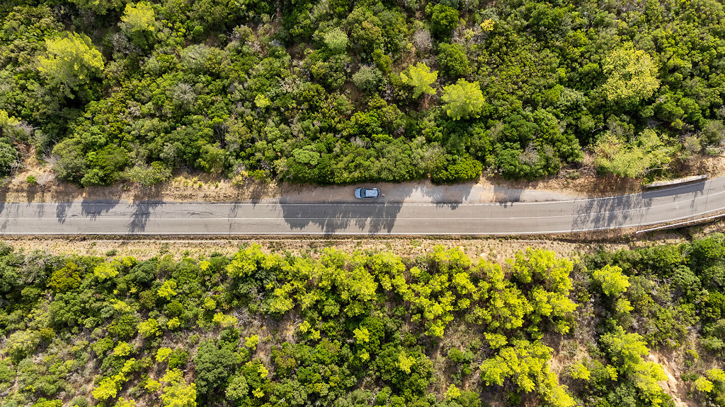 20240919-085710-DJI-0058-HDR.jpg