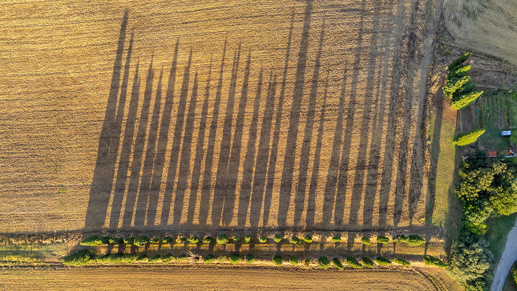 20240920-074900-DJI-0222-HDR.jpg
