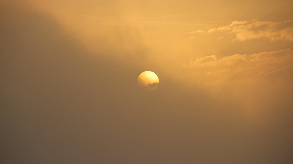 20240926-072934-FCO-1617.jpg