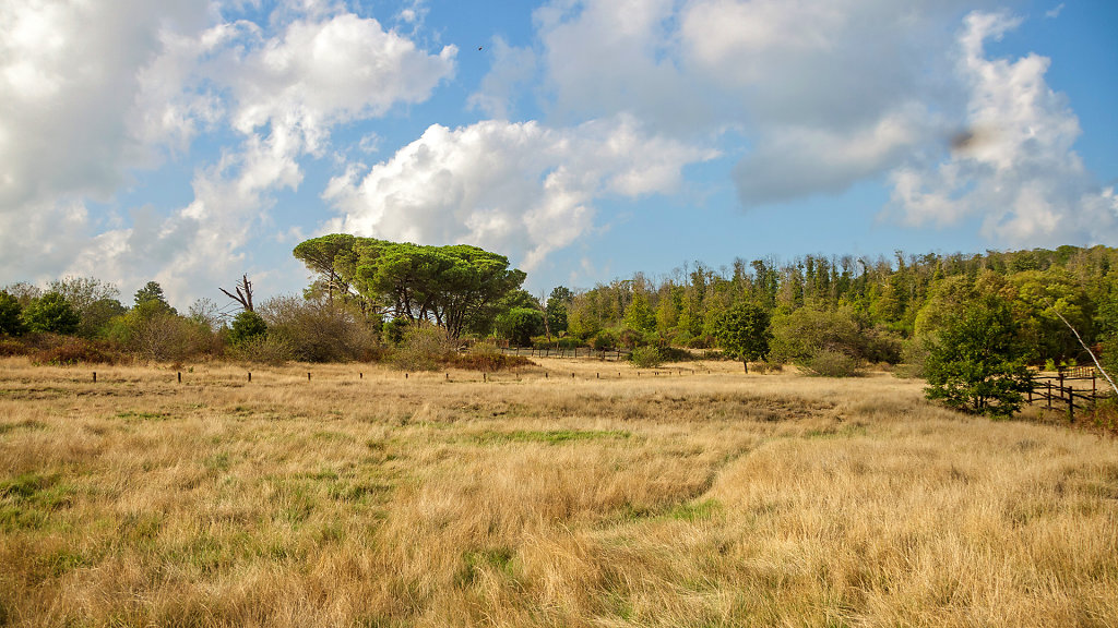 20240926-161755-FCO-1821-HDR.jpg