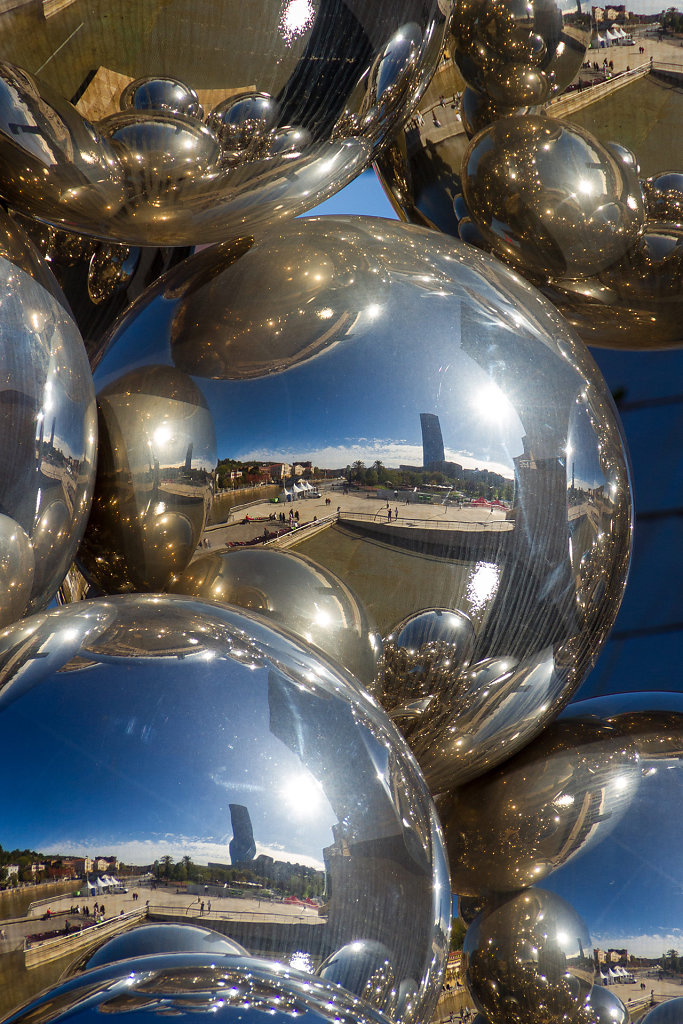 Tall Tree And The Eye